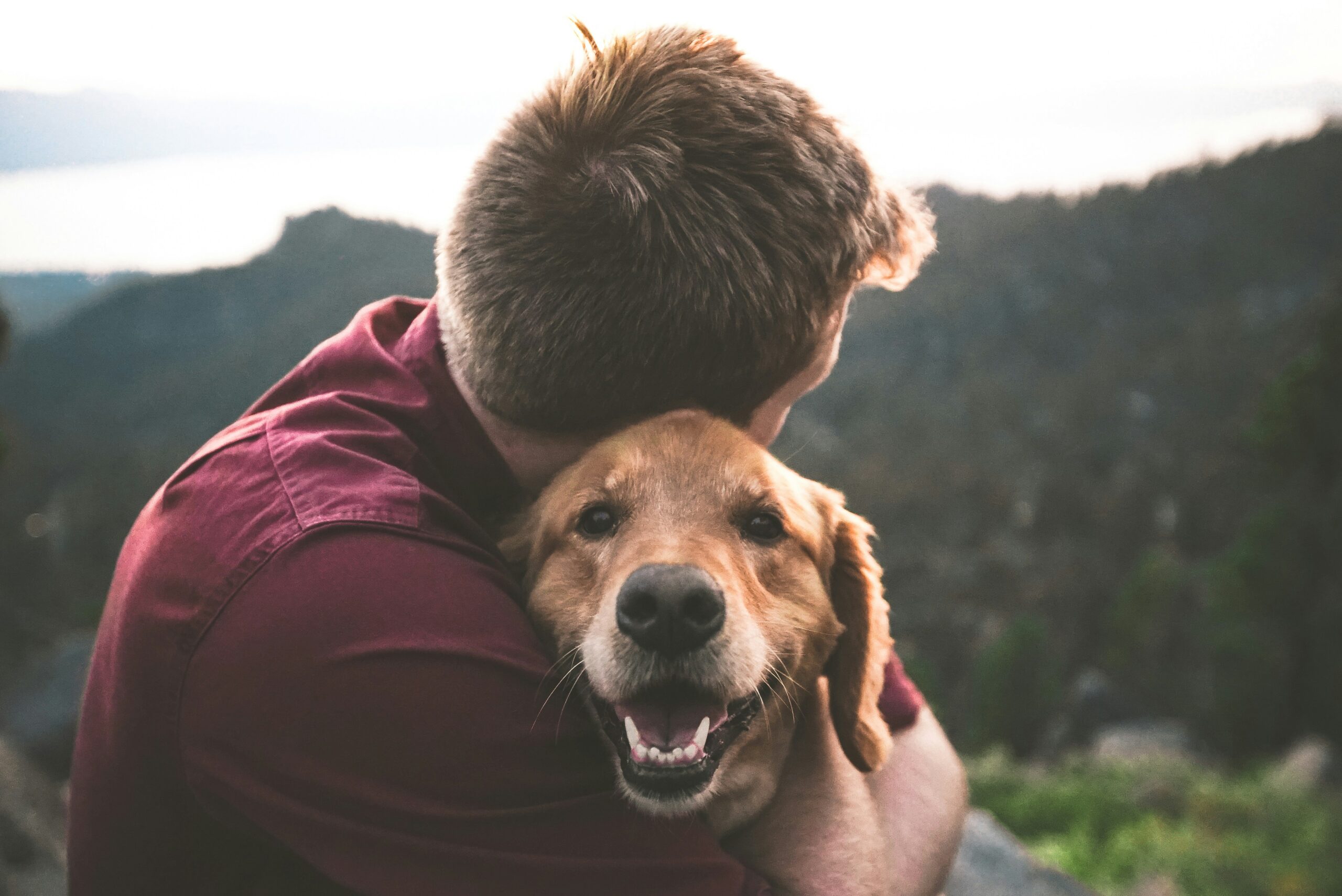 A relieved owner hugging his golden retriever, representing a successful lost pet search in Ohio.